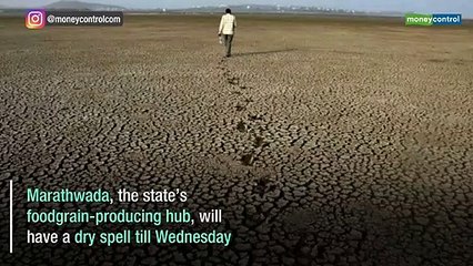 Widespread rainfall expected in Mumbai, Konkan between Tuesday & Thursday: IMD
