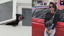 Penyanyi Malaysia ketahuan sembunyikan beruang dalam apartemen - TomoNews