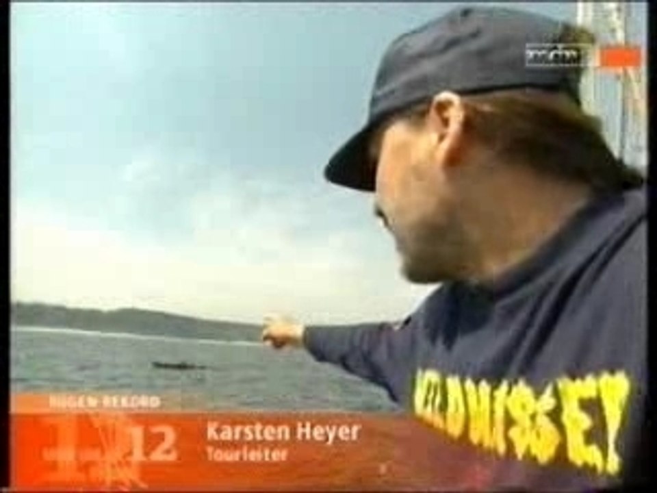 rund rügen in 24 h