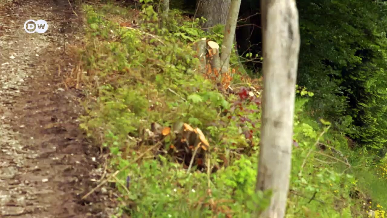 Gourmetwelten: sternekoch torsten michel | euromaxx