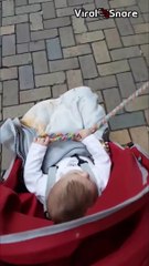 Cute Baby Girl Walks Her American Bully