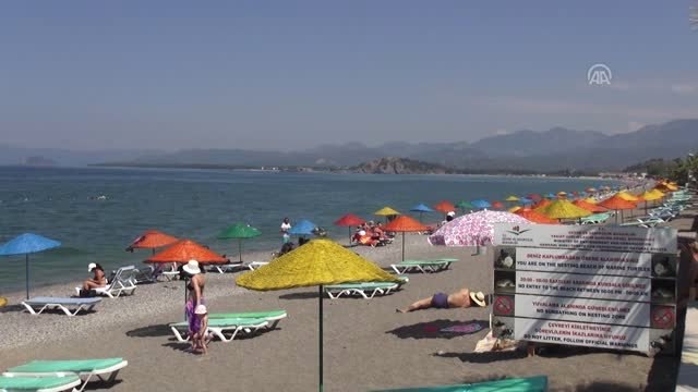Fethiye'de caretta caretta yuva sayısı 30'a ulaştı