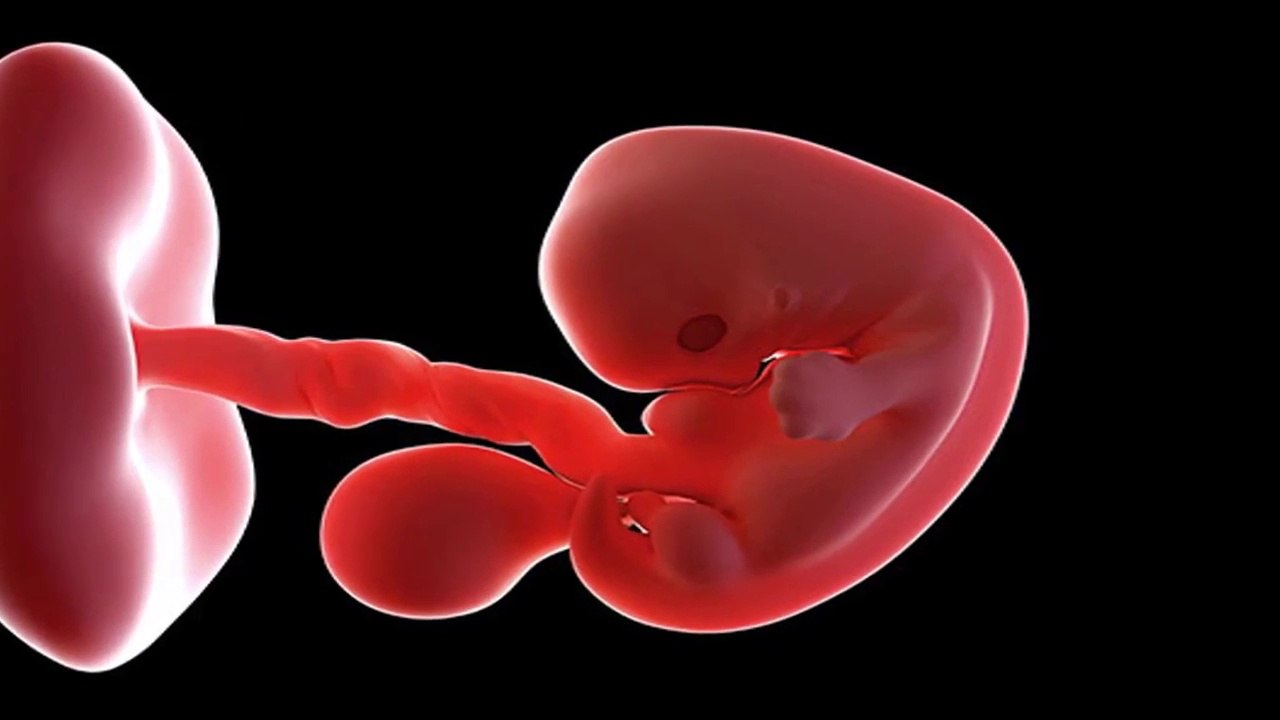 Hamilelik döneminin 3 haftasında anneye neler oluyor