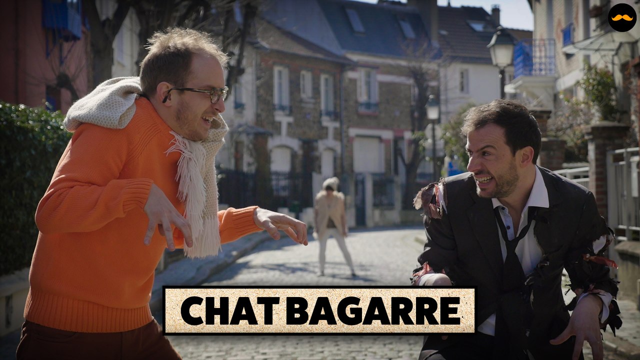 CHAT BAGARRE