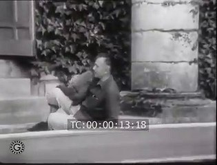 Les dauphins de Jean Richard