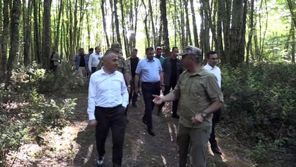 İğneada Longoz Ormanları'na kuş gözlem kulesi yapılacak - KIRKLARELİ