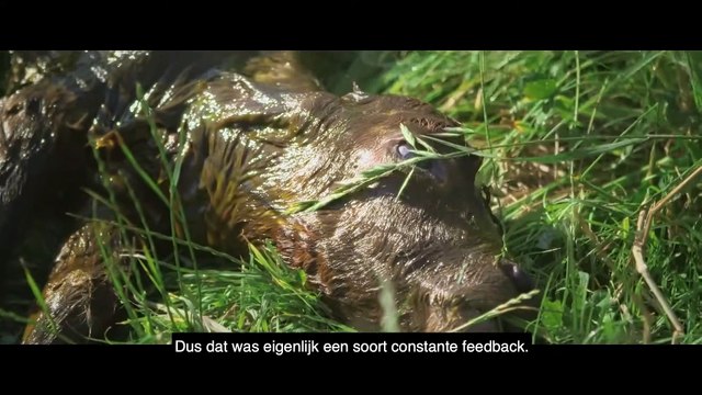 THE BIGGEST LITTLE FARM | DEEL II: Cynisme gaat ons niet helpen''