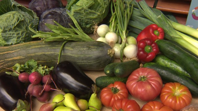 Presentación Estrategia Alimentaria de Mdarid 2018-2020