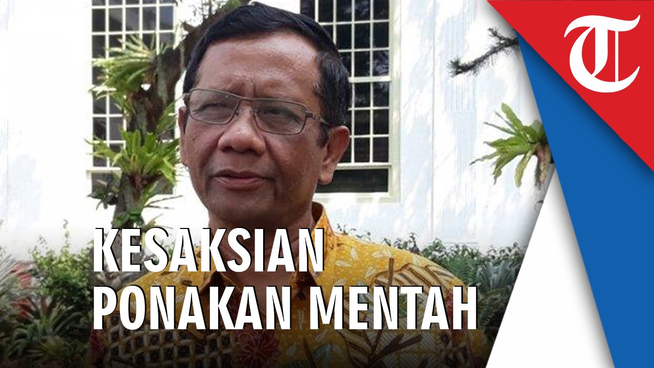Mahfud MD Tanggapi Kesaksian Keponakan: Masih Mentah