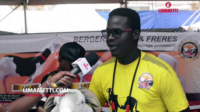 Concours international de béliers : Les plus gros moutons du Sénégal