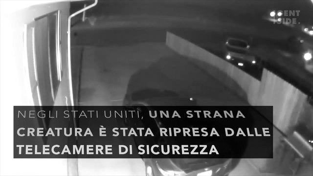 Strana creatura ripresa dalle telecamere di sicurezza diventa virale e spaventa gli utenti