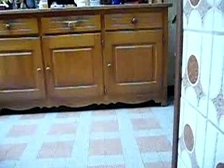 Delire avec mon chien