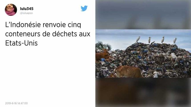 L’Indonésie renvoie cinq conteneurs de déchets plastiques et de couches aux États-Unis