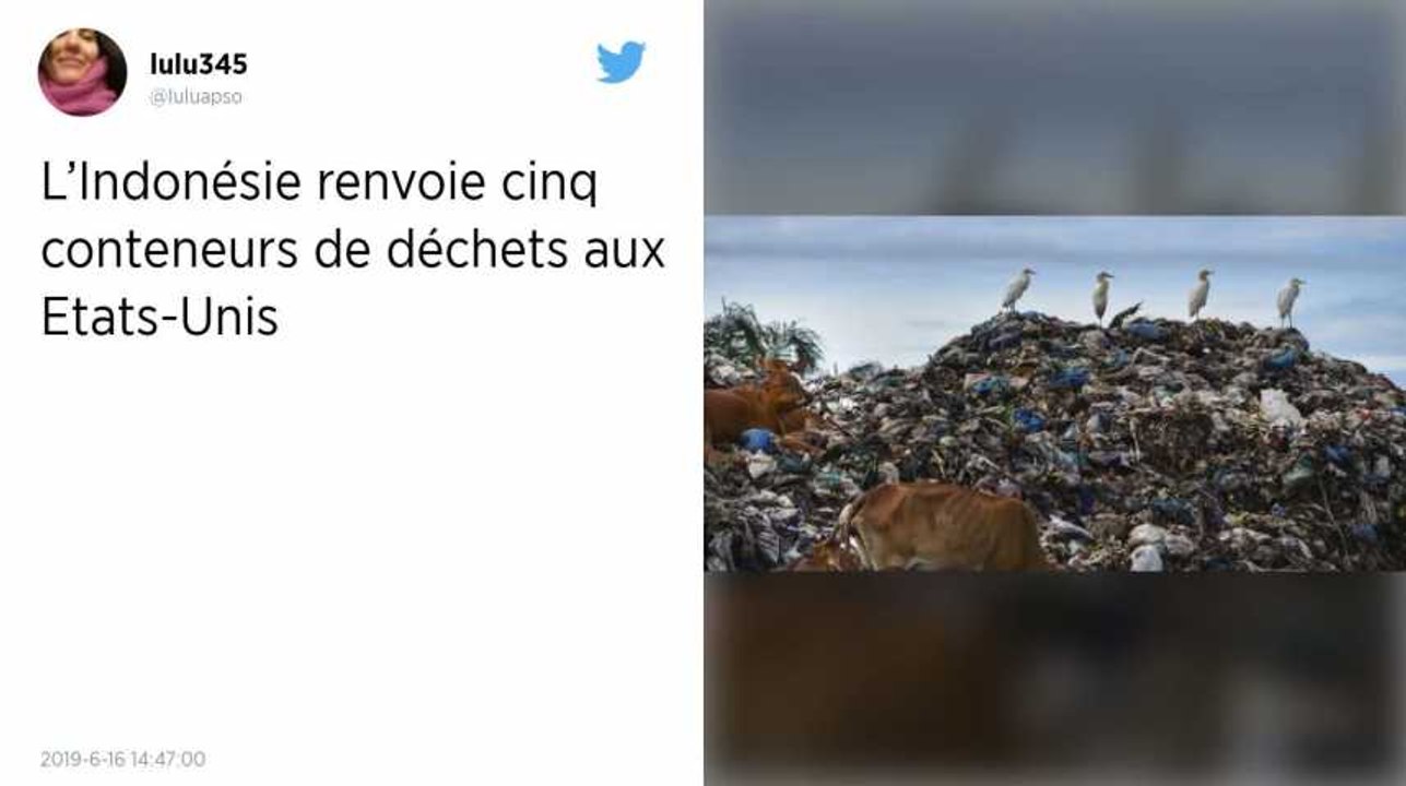 L’Indonésie renvoie cinq conteneurs de déchets plastiques et de couches aux États-Unis