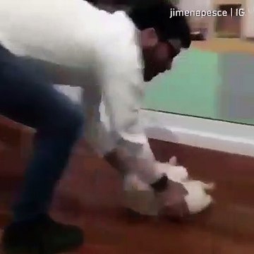 Cette chatte adore se faire glisser par terre. Regardez comment il en redemande !