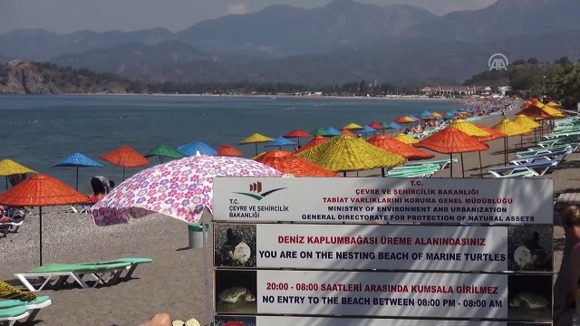 Fethiye'de caretta caretta yuva sayısı 30'a ulaştı - MUĞLA