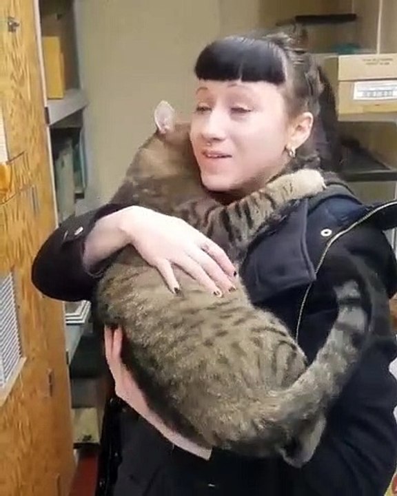 Cette chatte aime beaucoup les gros câlins. Tellement émouvant !!