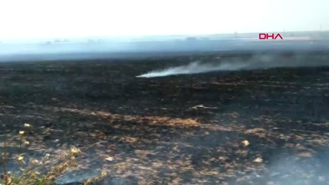 ŞANLIURFA Ceylanpınar'da 40 dönüm buğday tarlası yandı