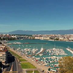 Il est trop beau ce poméranien. Admirez le faire son shampoing !