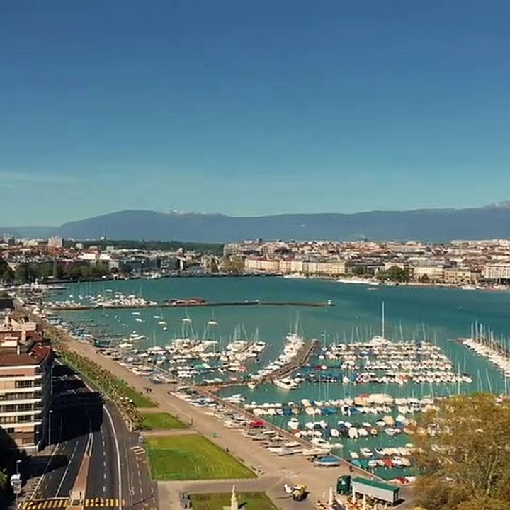 Il est trop beau ce poméranien. Admirez le faire son shampoing !