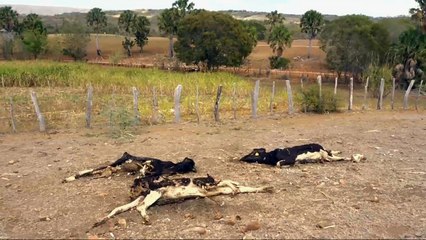 الأمم المتحدة: مليارا إنسان سيعانون من ندرة المياه