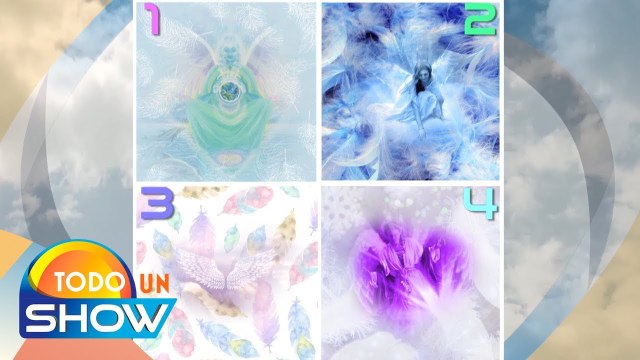 Los ángeles constantemente se comunican con nosotros y muchas veces lo hacen a través de ¡plumas!