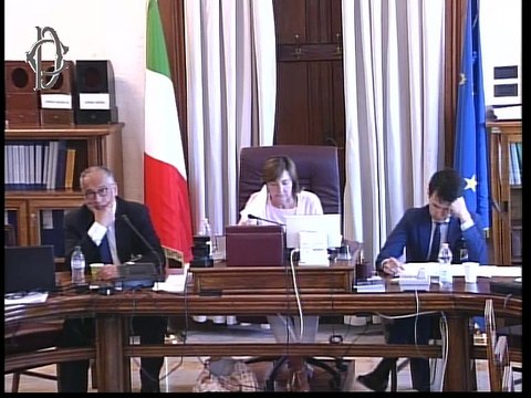 Roma - Audizioni su retribuzione minima oraria (17.06.19)