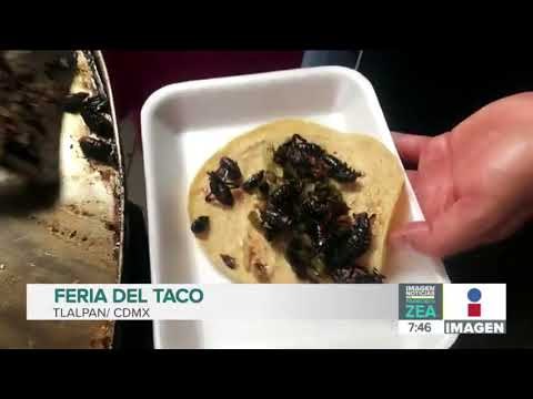 Llega la Feria del Taco a Tlalpan con deliciosos y exóticos guisados| Noticias con Francisco Zea