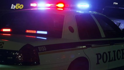 Dog Gone! Pitbull Runs Amok, Hijacks Cop Car & Steals Beef Jerky!