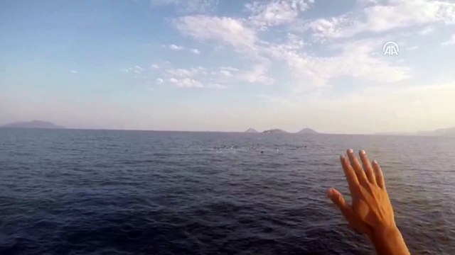 Bodrum açıklarında düzensiz göçmenleri taşıyan tekne battı, 31 kişi kurtarıldı - MUĞLA