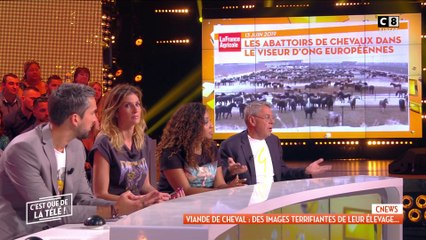 Viande de cheval : les images terrifiantes de leur élevage choquent les chroniqueurs