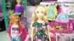Frozen Elsa Cambia de Cuerpo a Barbie Movimientos Divertidos - Desfile de Moda de Ropa Barbie