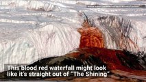 Blood Falls: Antarctica's Eerie 'Bleeding Glacier,' Explained