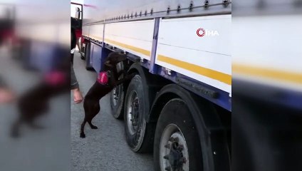 Ağrı’da 585 kilogram eroin ele geçirildi