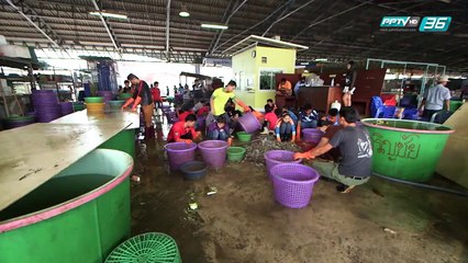 มหัศจรรย์อาเซียน EP.32 "1350 กิโลเมตร ใน..รถไฟพม่า" ตอนที่ 1 กรุงเทพฯ - ทวาย (2/2)