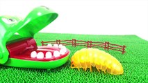 Various All Monster Roly-Poly insect step into the Fumbling toy Box Spo Spo Movie