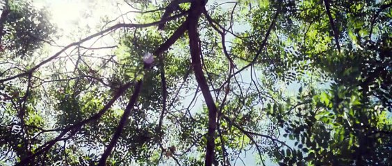 Oranges and Sunshine Movie