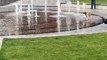 Playing Pup Finds Fun in a Fountain