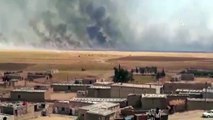 YPG/PKK işgalindeki bölgelerde yangın tehdidi sürüyor - KAMIŞLI