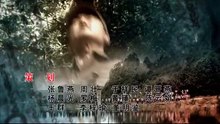 经典战争剧情剧 中国远征军45 電視劇（黄志忠 张丰毅 柯蓝）