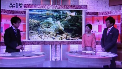 2019 06 13　NHK ほっとニュースアイヌモシリ　【 神聖なる アイヌモシリからの 自由と真実の声 】