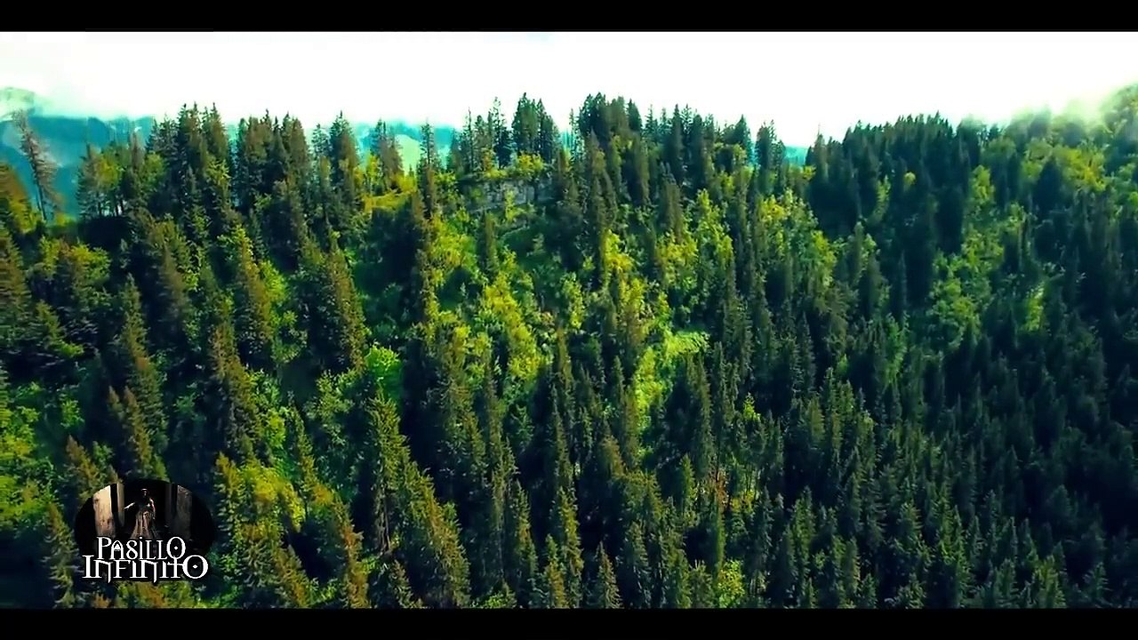 Escalofriantes Criaturas captados en video terror real