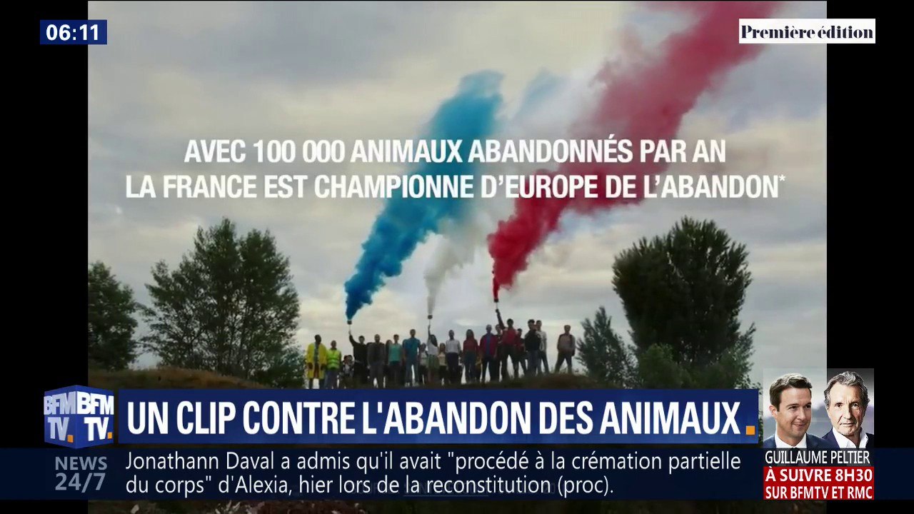 Le nouveau clip de 30 millions d'amis est sorti et sachez que la France est championne d'Europe de l'abandon d'animaux