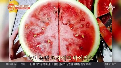 모자이크병 걸린 수박, 감별하는 법은?!