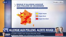 Alors que le risque d'allergie associé aux pollens de graminées est très élevé comment en limiter l'impact ?