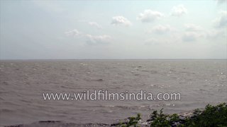 Waves of West Bengal | Beautiful boats and local transportation, 4k stock footage