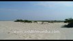 Bakkhali Sunset Point, 4k Aerial  Sunama Park, Susni Island Mangroves, West Beach Side , Frasergunj Harbour, West Bengal,  Bay of Bengal , India- stock footage