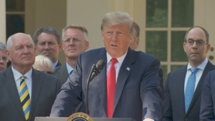 Trump asegura que EE.UU. empezará una deportación de "millones" la semana próxima