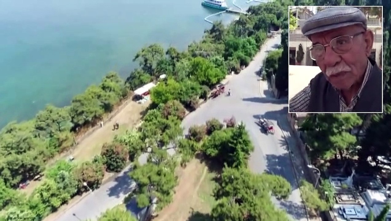 30 Derecede Faytona Koşulan Atların Yürek Burkan Görüntü Yürek Burktu