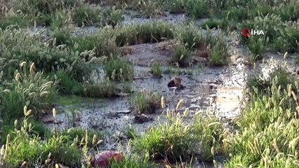 Diyarbakır’da Alt Yapısı Olmayan Mahallede Kokudan Cam Kapı Açılmıyor